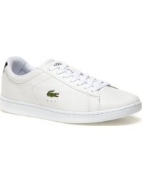 Lacoste sports shoes carnaby bl w